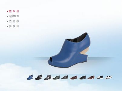 百丽鞋业网站建设